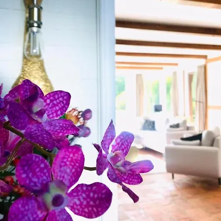 Lotten * ווינזן