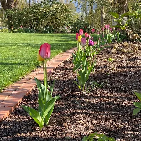 בית נופש Lotten